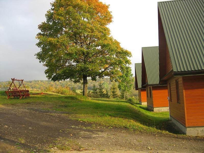 Caloroczne Domki Zacisze Hnatowego Berda W Wetlinie Wetlina Exterior foto